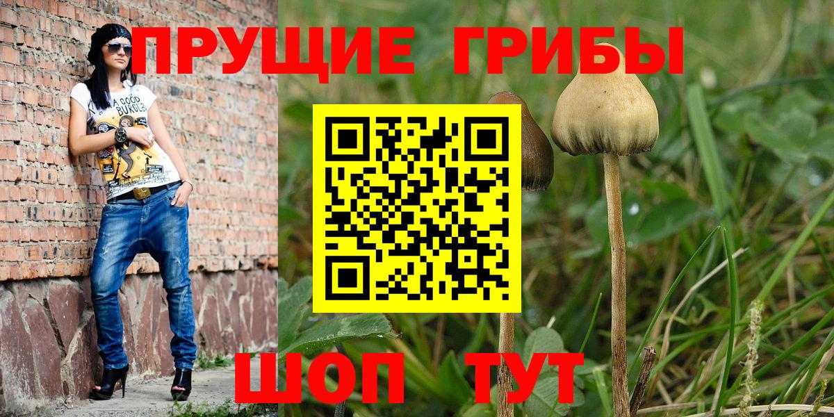 Жигулёвск  Галлюциногенные грибы Magic Shrooms  Вход с VPN  Галлюциногенные грибы Magic Shrooms 